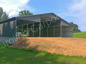 Vertical Roof Style Seneca Barn and Gables